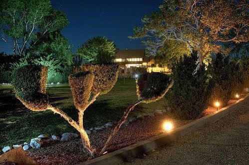 كوتنوود Desert Rose Bed And Breakfast المظهر الخارجي الصورة